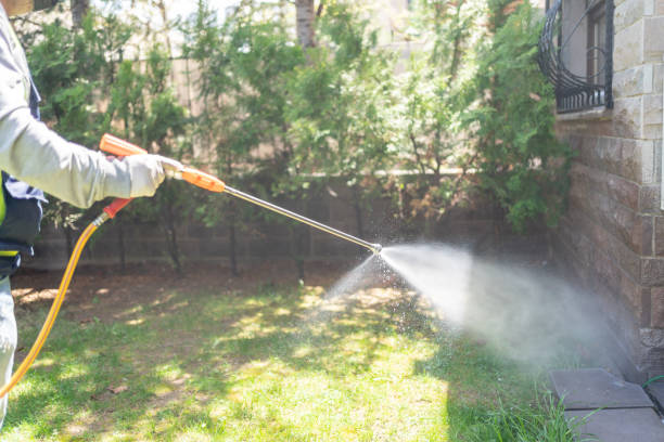 Best Pest Removal Services  in Wheatland, CA