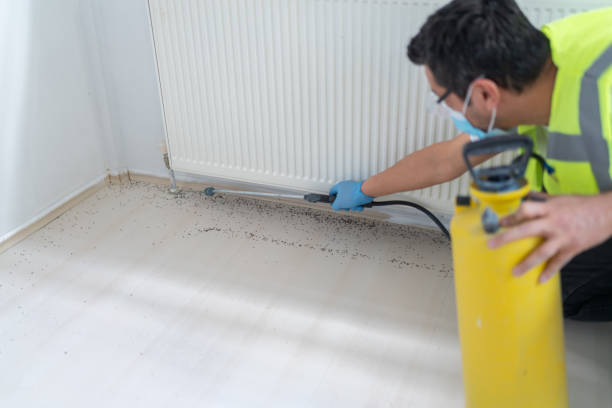 Best Residential Pest Control  in Wheatland, CA